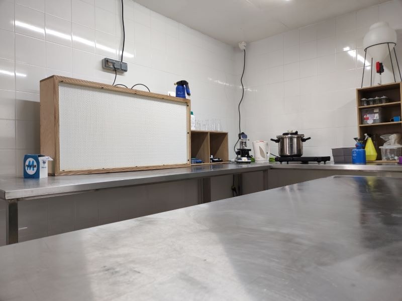 Laboratoire - Semence de qualité produite sur blé bio